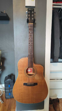 Norman B20 CW  acoustic guitar