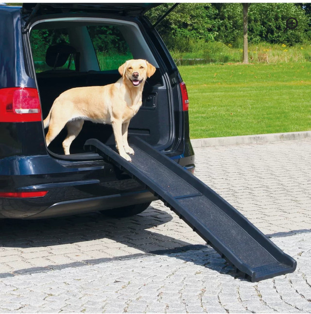 Dog ramp for car - med/large dog in Accessories in Peterborough