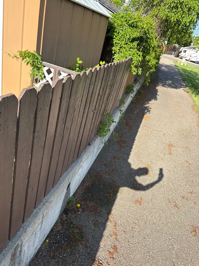 Repair, Repaint, or Build Nice Wood Fences... in Decks & Fences in Medicine Hat - Image 7