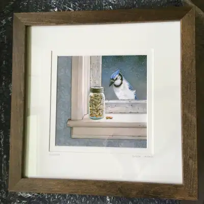 Blue jay watercolor painting, View more