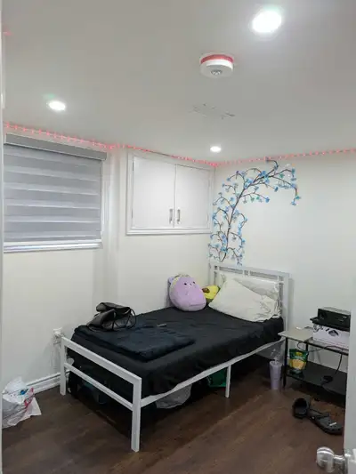 Fully renovated legal basement available from 1st January.Near to STC and bus stop.only for girls. 6...