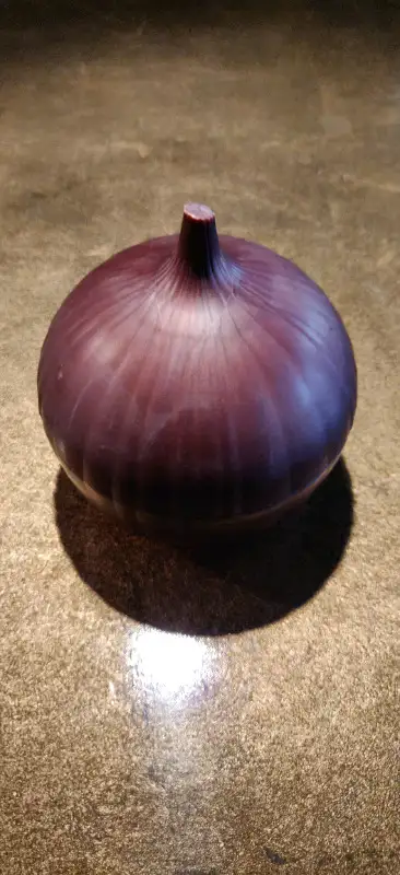 Two-piece twist apart onion storage container shaped like an red onion. Only need half an onion and...