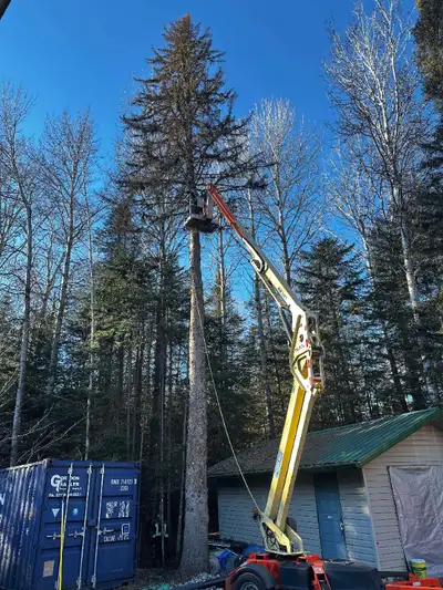 Mitigoog Solutions Tree Services, View more