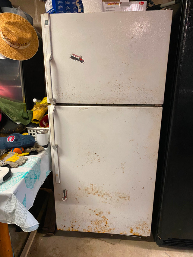 Fridge/freezer in Freezers in Owen Sound