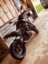 2014 Yamaha FZ-09