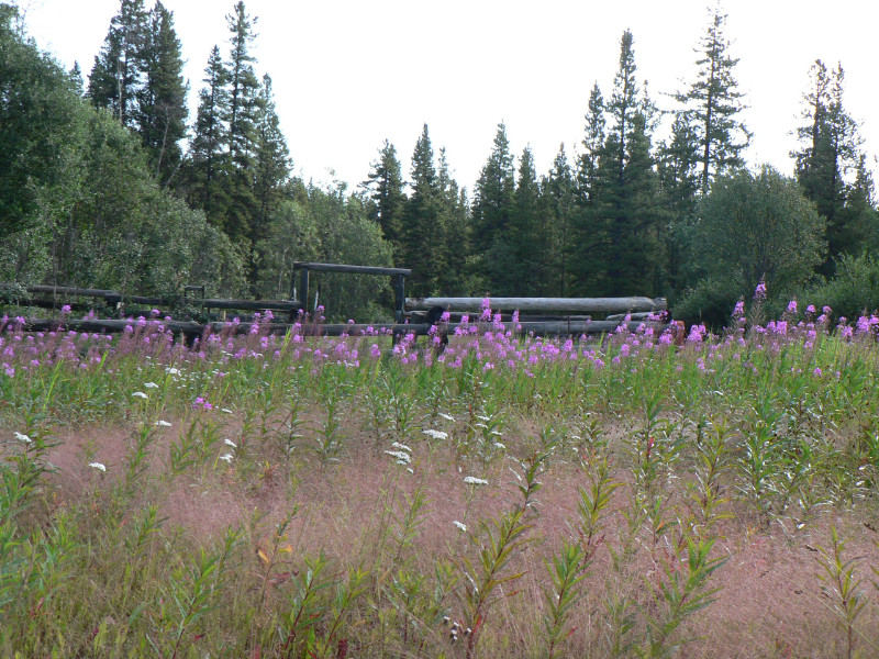 Tranquil Northern Acreage, Cassiar Mountains, BC Land for Sale