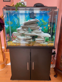 30 gallon fish tank and filter 