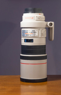 Canon EF 300mm f:4 L IS lens.