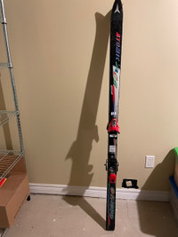 Women Ski Board , size 165, sale $80