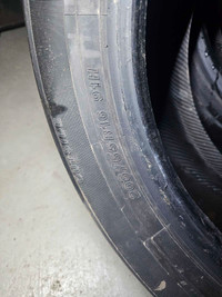 2x 205/55/R16 motomaster all season tire only 2