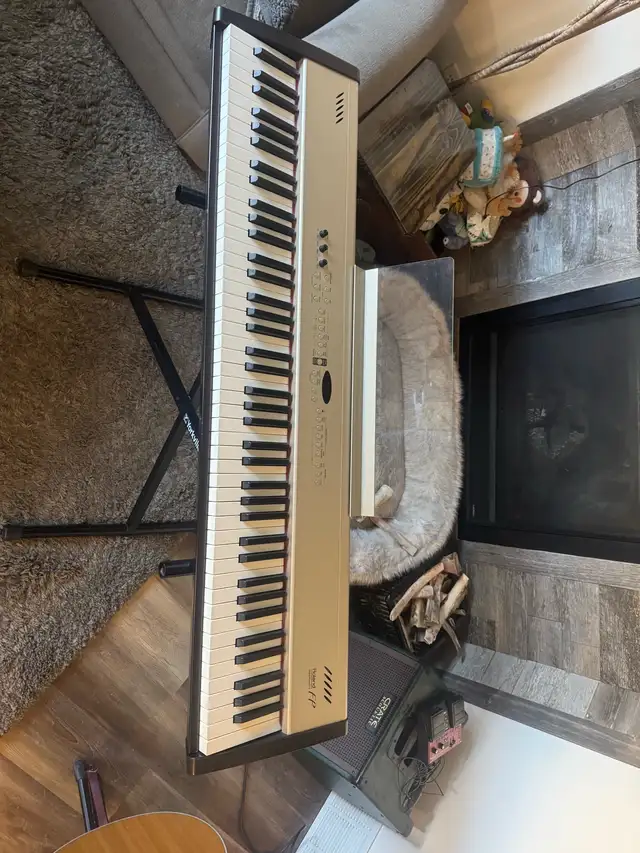 Roland Digital Piano FP-5 in Pianos & Keyboards in Calgary - Image 2