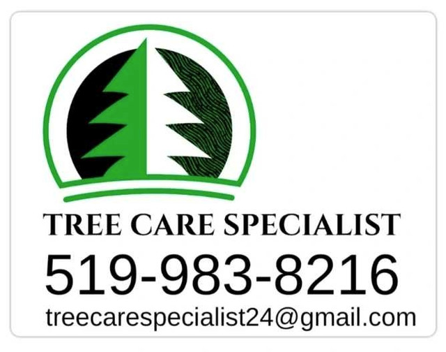 Tree trimming/removals in Lawn, Tree Maintenance & Eavestrough in Kitchener / Waterloo - Image 2