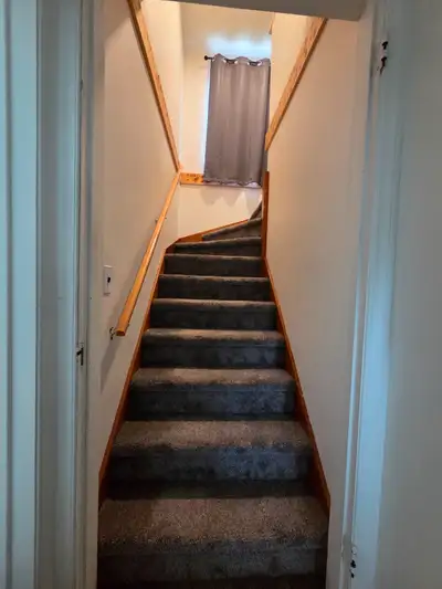 Rooms for rent/Roommate wanted
