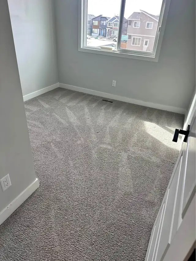 carpet deep cleaning469134724501360642