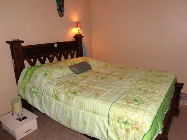 Vacation House for Rent & For Sale in Costa Rica in Other Countries - Image 3