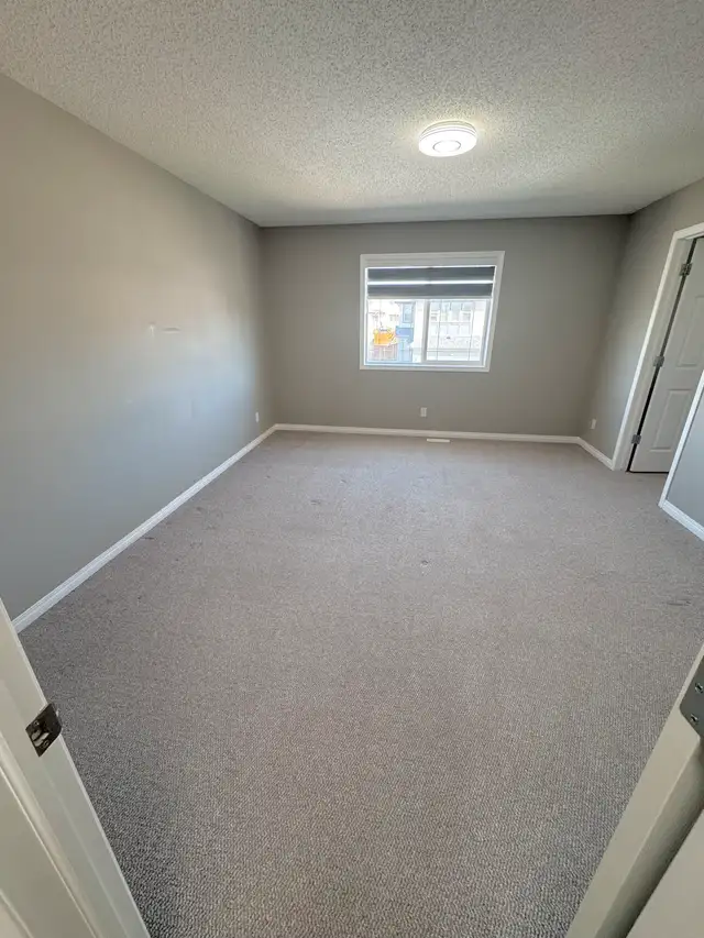 Professy Carpet Steam Cleaning62863713882243123