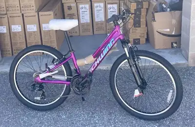 Youth Girls Kids Rangers 24” Mountain Bike Schwinn, View more