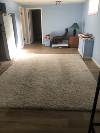 Extra Large Area rug 10.5 x 8 ft