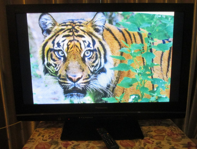 42" TV, Panasonic High Definition Plasma Television TH-C42HD18 dans Téléviseurs  à Stratford - Image 3