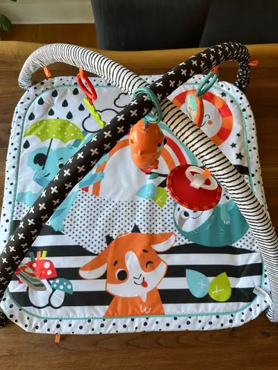 Baby Playmat, View more