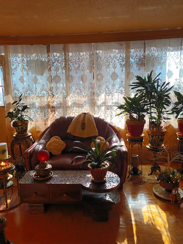 Photo 4