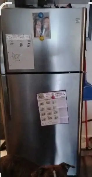 Kenmore stainless steel fridge , View more