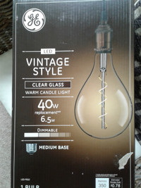 LED Vintage Style Light Bulbs