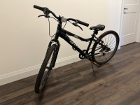 Evo Rock Ridge 24" Mountain Bike 