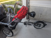 Bike with two child seats