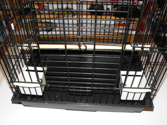 bird cage in Accessories in Kitchener / Waterloo - Image 3
