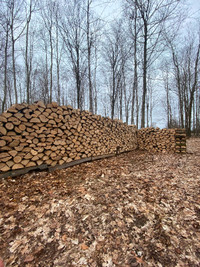Camp firewood forsale
