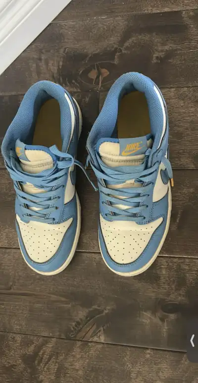 Blue Nike Dunks, View more