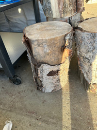 Birch Stumps $30