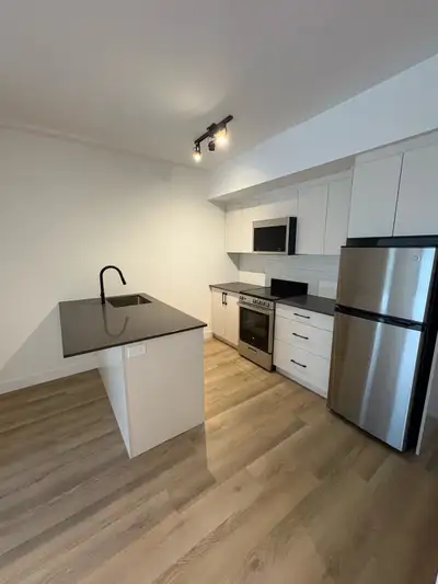 1 bedroom apartment