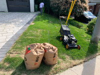 Grass cutting/ yard cleanup/ lawn care