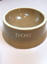 Dog Dish, Collars and Doorbells