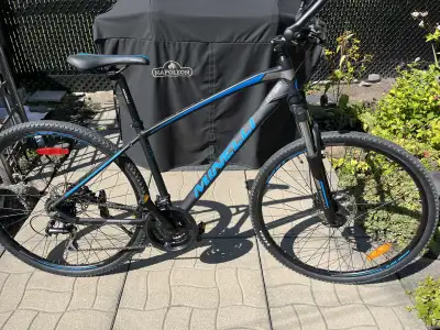 Vélo Minelli 2024 ( lire description), View more