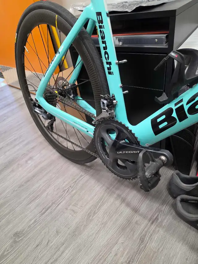 Bianchi Aria in Road in Barrie - Image 4