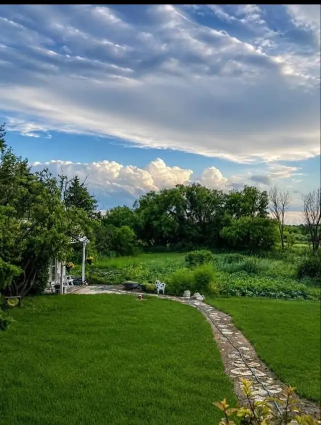HOME QUARTER WITH YARDNEUDORF, SK AREARM of mClEOD in Land for Sale in Regina - Image 3