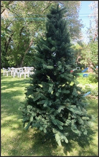 Christmas tree for sale. $65 in Holiday, Event & Seasonal in Winnipeg