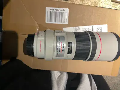 Canon EF 300mm f/4L IS USM, View more