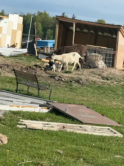 One bedroom apartment $1650.00 in a farm