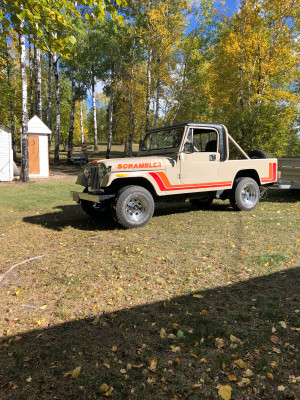 1981 Jeep CJ