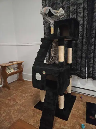Arbre à chat, View more