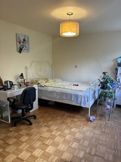 comfortable room for rent