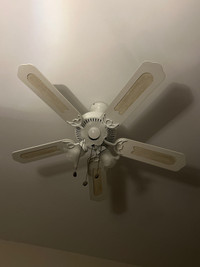 3 ceiling fans