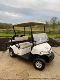 2011 EZGO RXV Golf Cart
