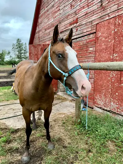 Well this has been a hard day of tough decisions. But in the end it’s about what is best for the hor...