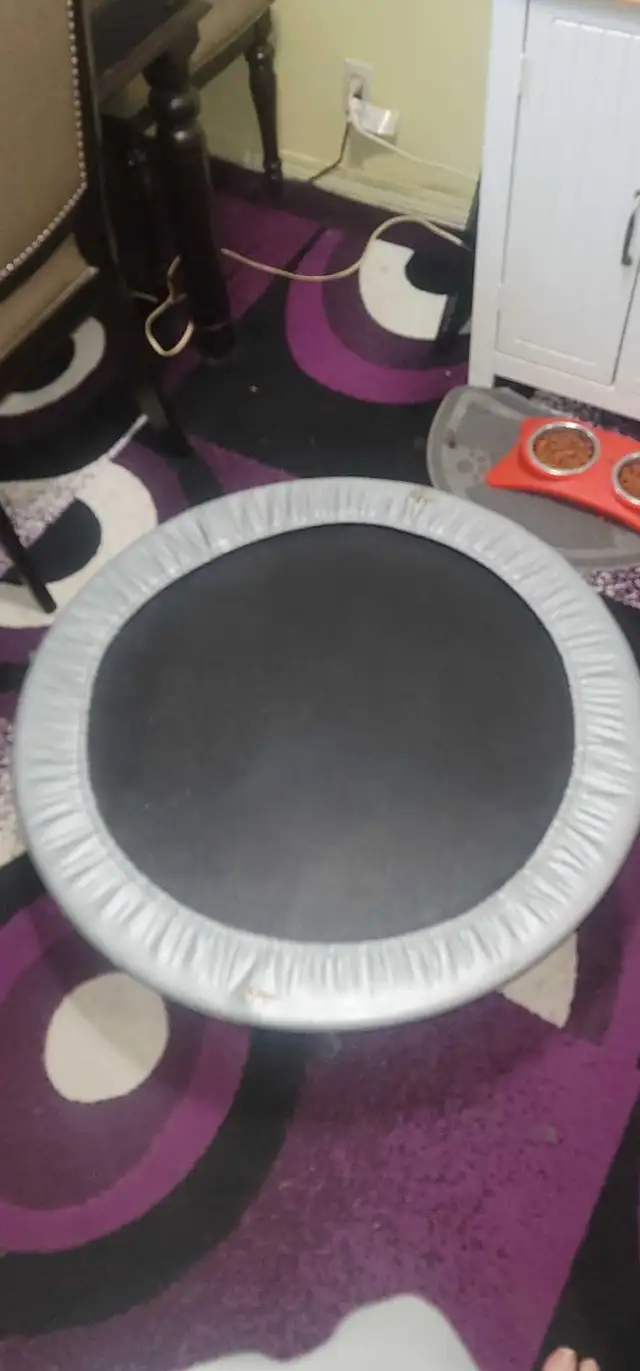 Fitness Trampoline