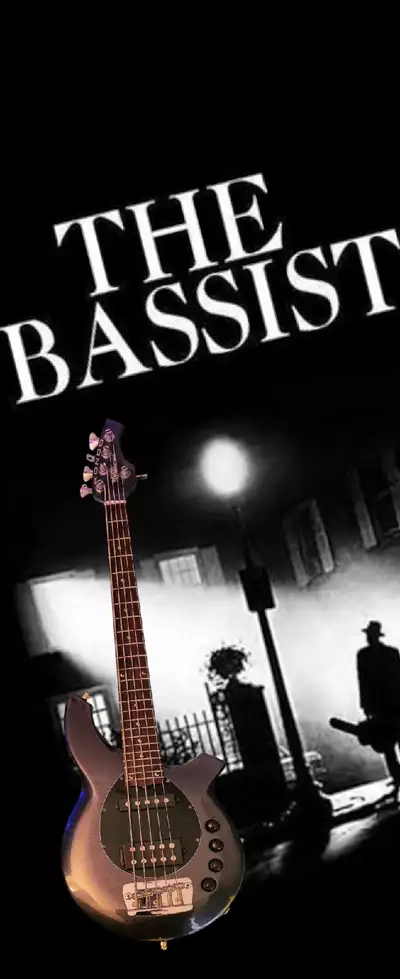 bassiste chanteur , View more